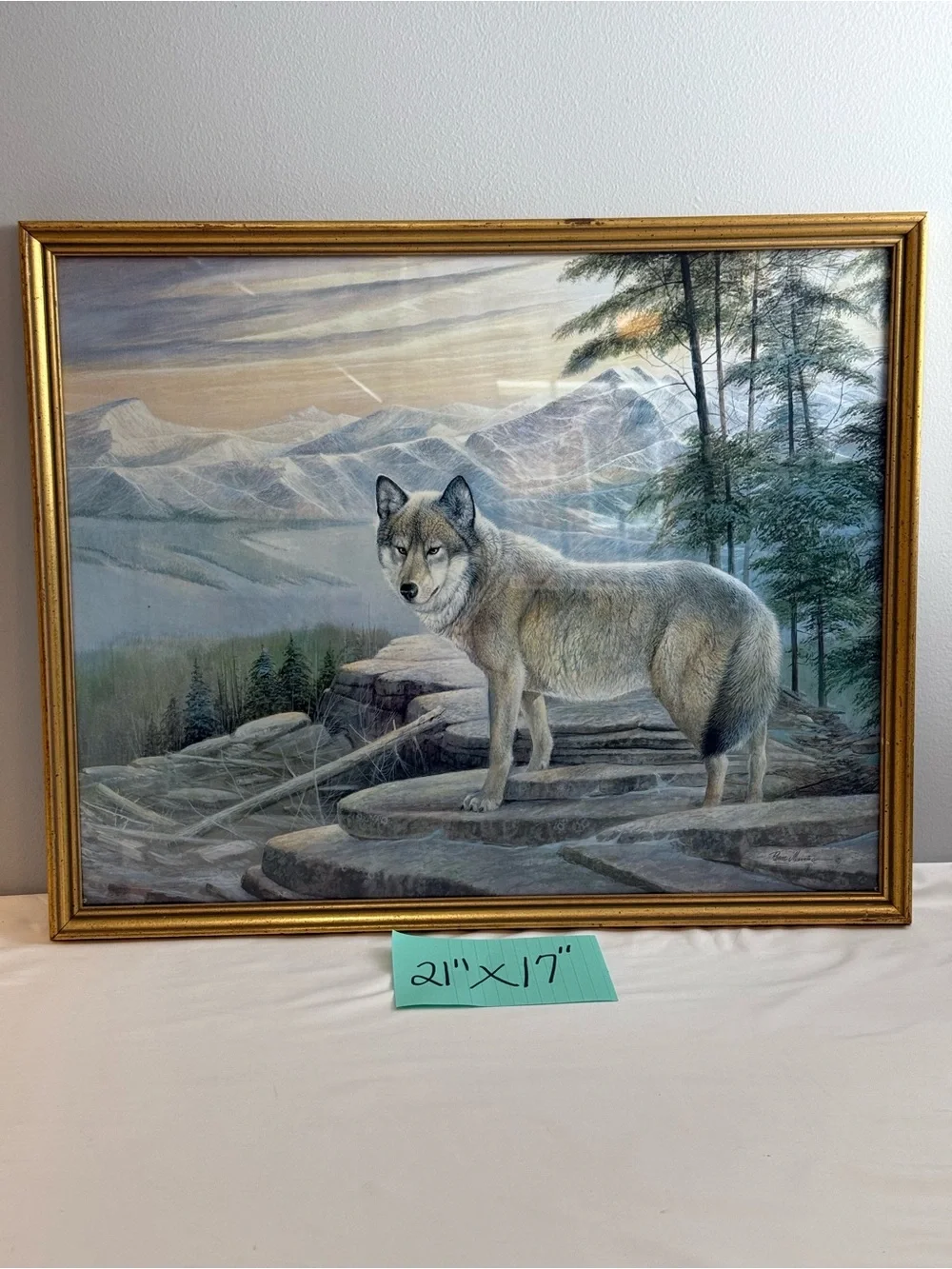 Ruane Manning striking wolf